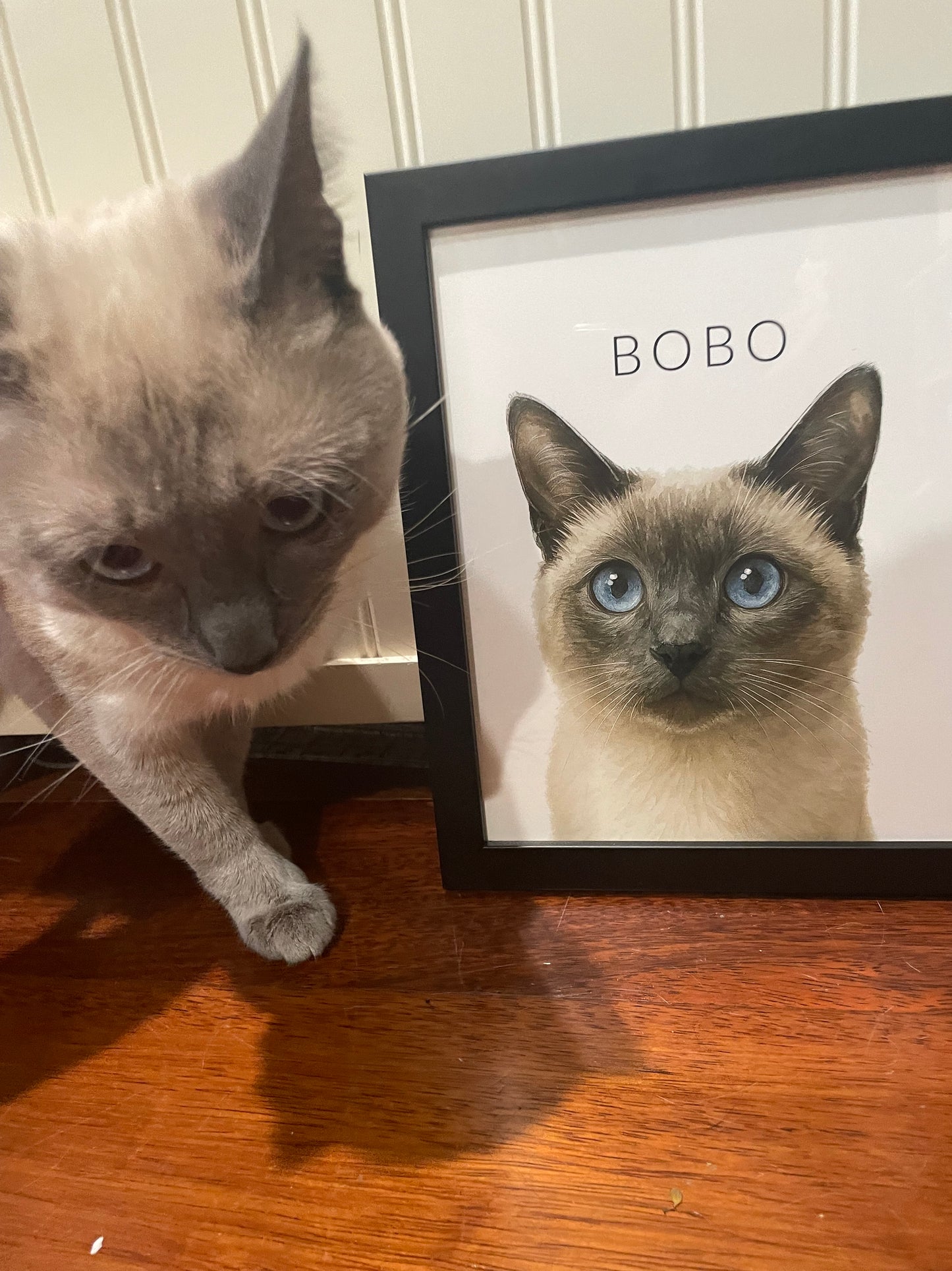 Simple Watercolor Pet Portraits