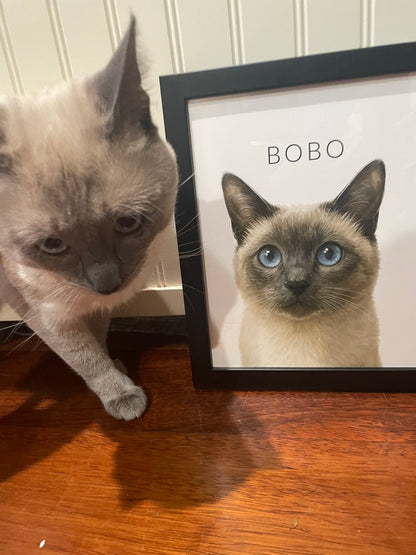 Simple Watercolor Pet Portraits