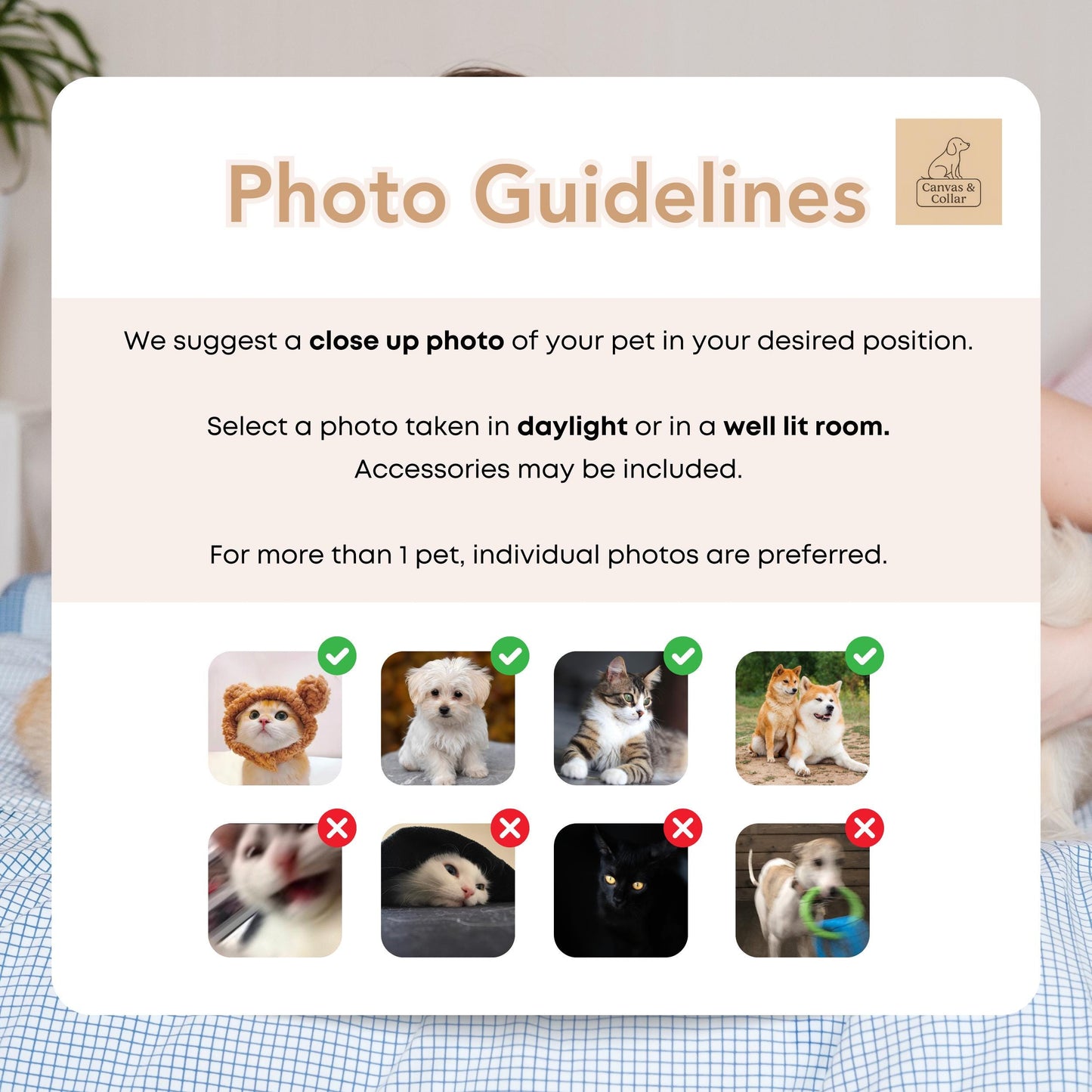 Simple Watercolor Pet Portraits