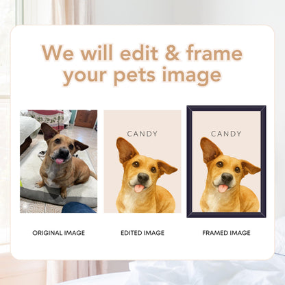 Simple Watercolor Pet Portraits
